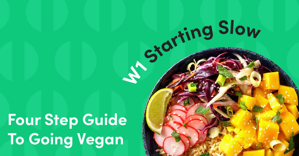 <h2>Vegan Four Step Guide</h2>