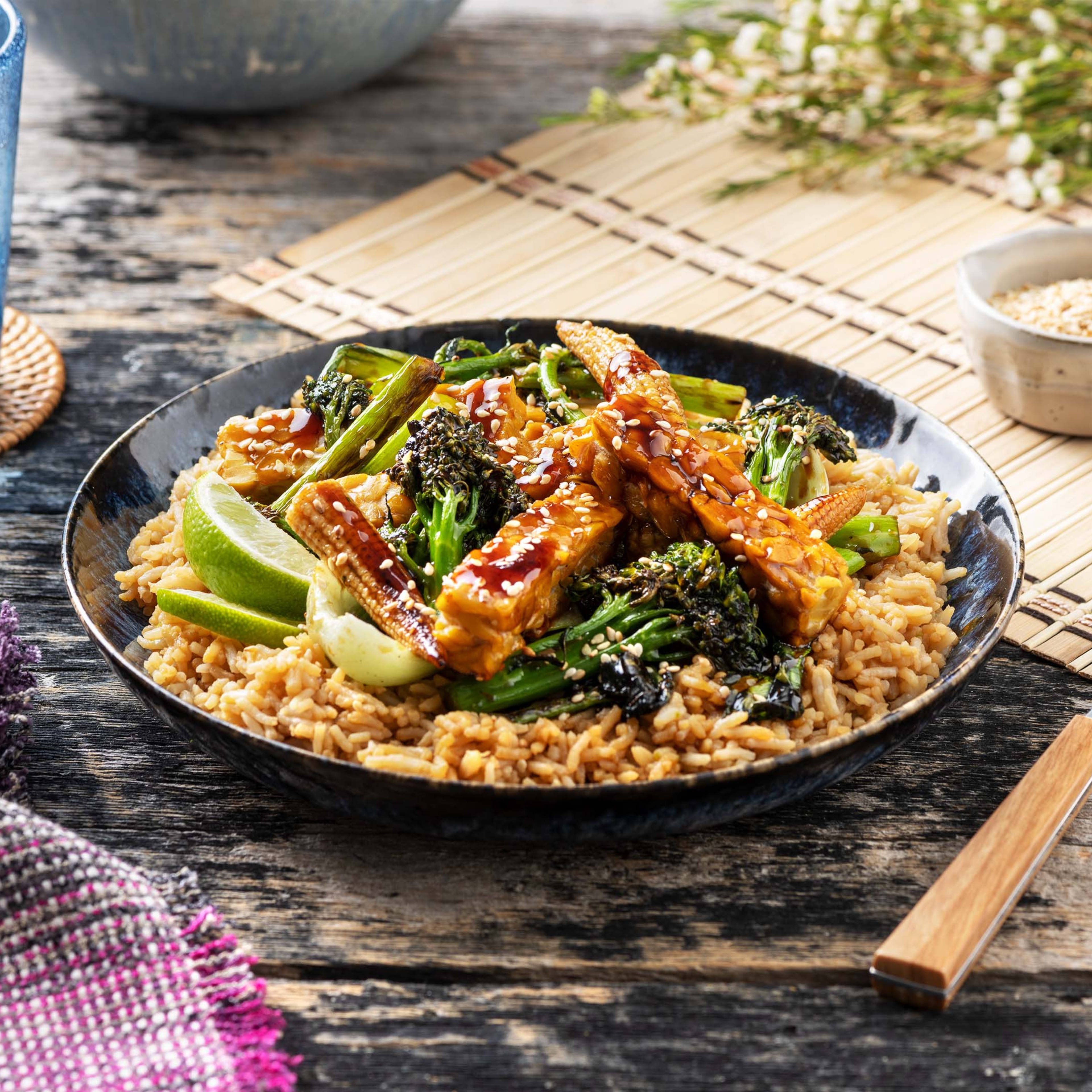 <h2>Plant-Based Protein from Soya</h2>