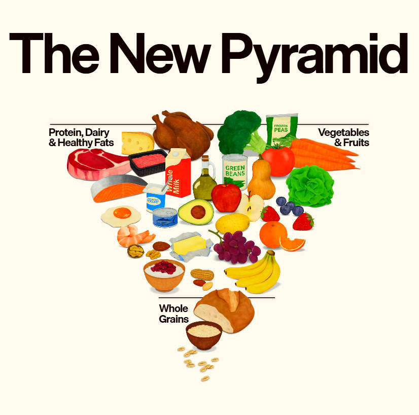 The Updated Food Pyramid: How to Read It