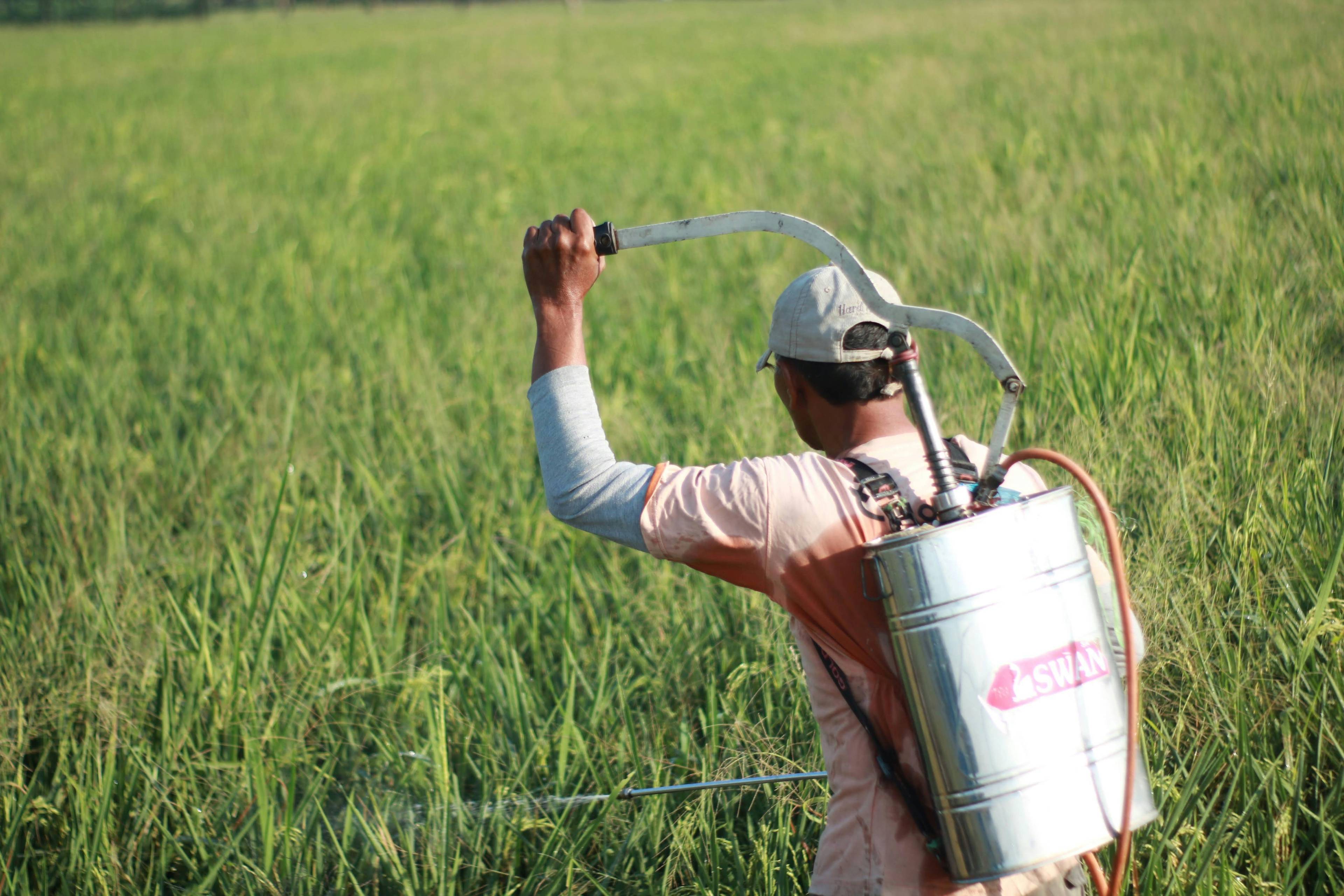 What Impact Do Farming Practices Have on the Environment?