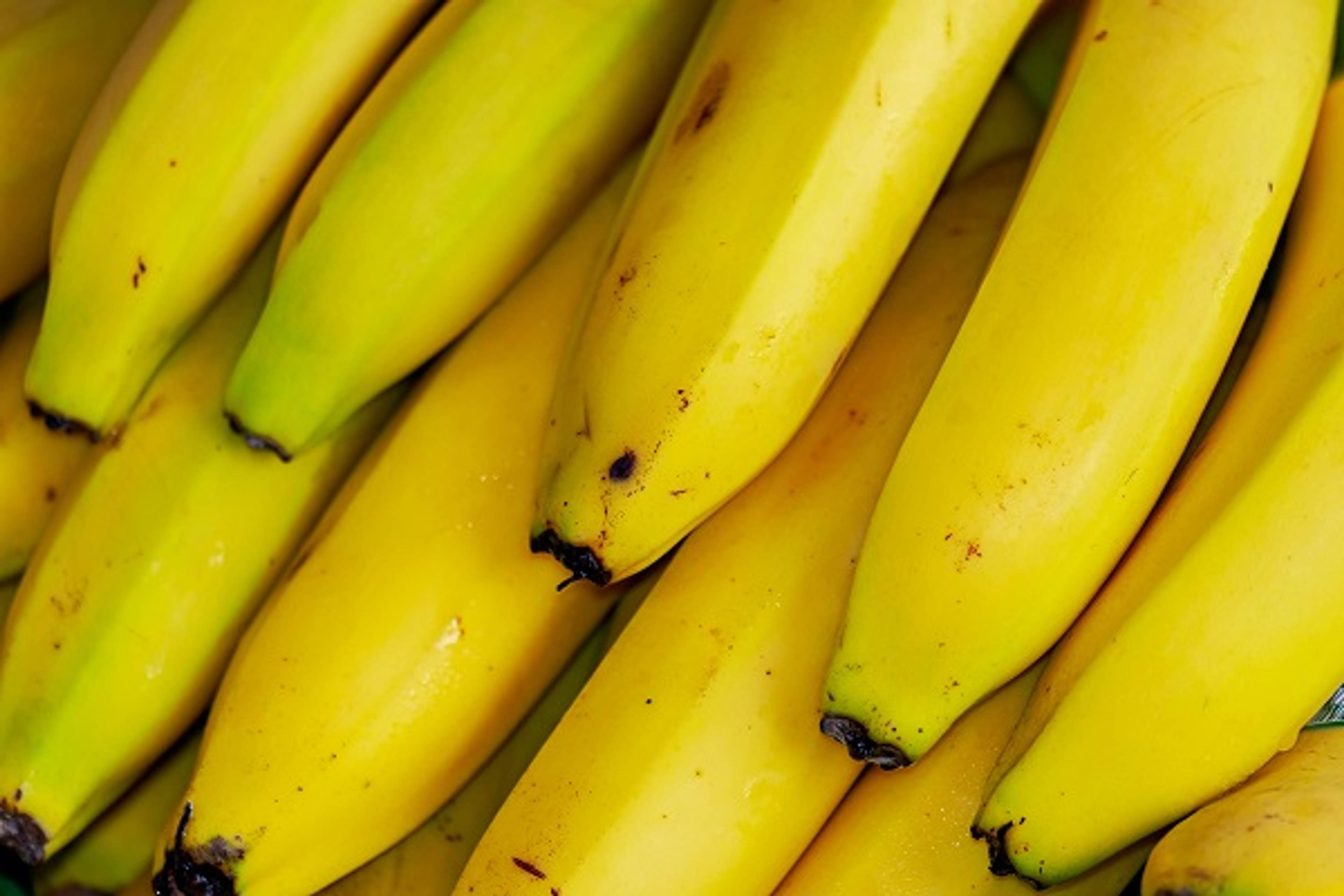 Digestive Diseases and a Plant-Based Diet