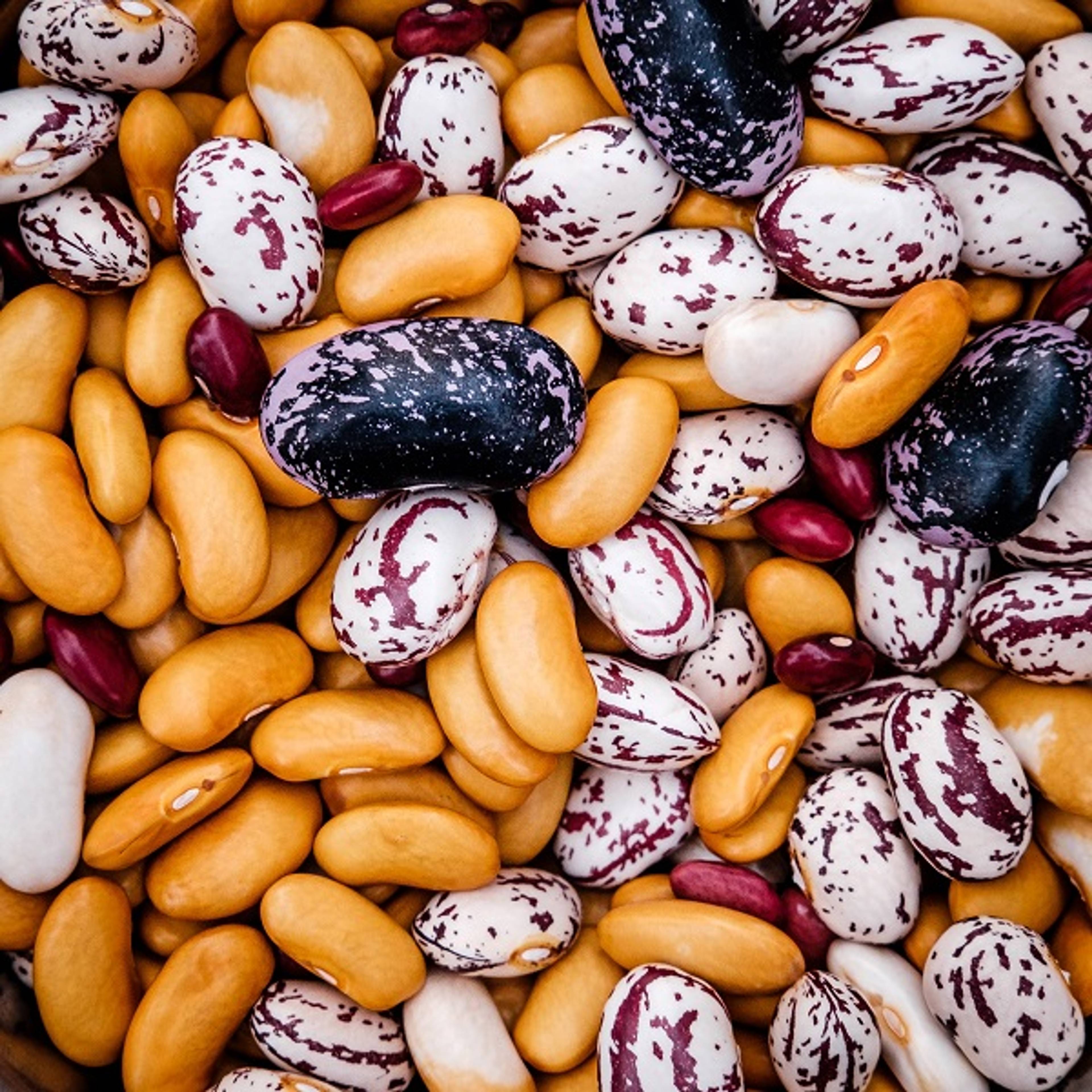 Eat Enough Protein